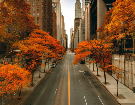 autumn-in-new-york-city-thumb